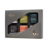 Discovery assortment of 6 teas - Camellia Sinensis